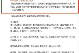 西峡遇到恶意拖欠？专业追讨公司帮您解决烦恼